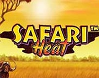 SAFARI HEAT MC